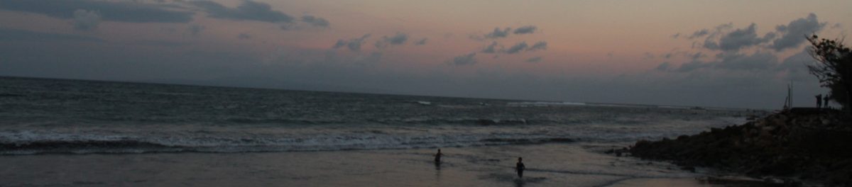 Sef's Twilight Trips Down the Rabbit Hole