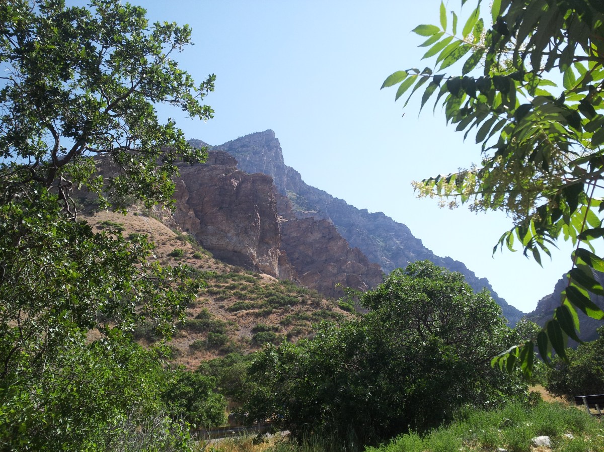 Looking towards the unknown, contemplating the awaiting rabbit&nbsp;hole.