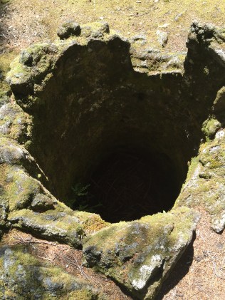 Rabbit Hole (picture taken by Sef)